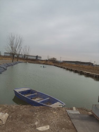 王有才垂钓园钓场环境照片