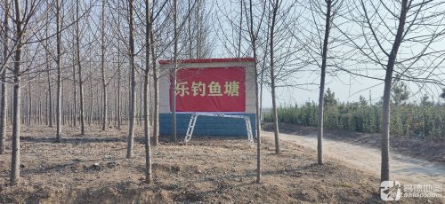 乐钓鱼塘钓点与钓场环境照片