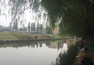 临东路野河钓点与钓场环境照片