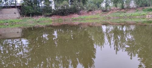 诸葛村卧龙湖垂钓园钓点与钓场环境照片