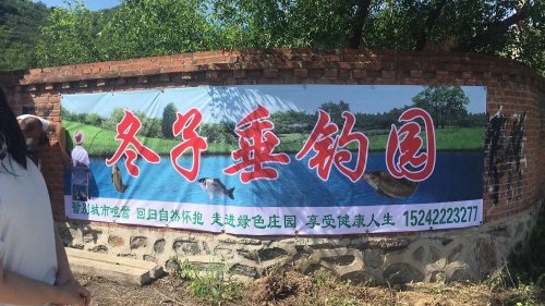 冬子垂钓园钓场环境照片