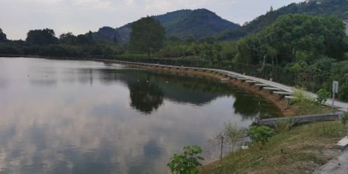 氧养渔乐垂钓园钓点与钓场环境照片