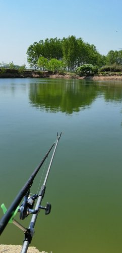 尹家沙沟垂钓园钓点与钓场环境照片