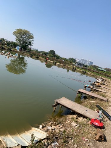 永逸休闲垂钓场钓点与钓场环境照片