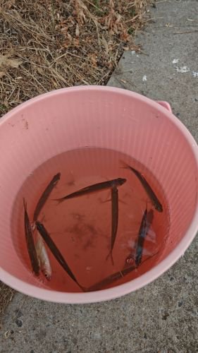 逍遥钓场钓场环境照片