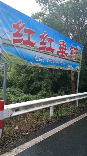红红垂钓钓场环境照片