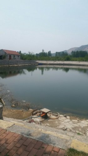 依河园垂钓园钓点与钓场环境照片