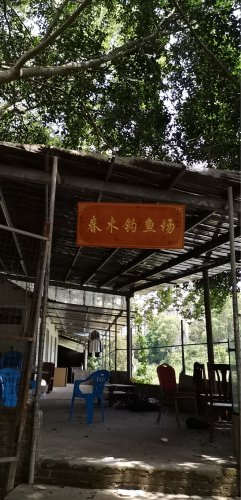 春木钓鱼场钓点与钓场环境照片