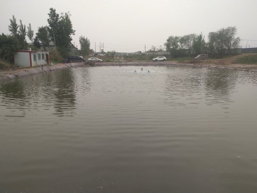 天丽垂钓园钓场环境照片