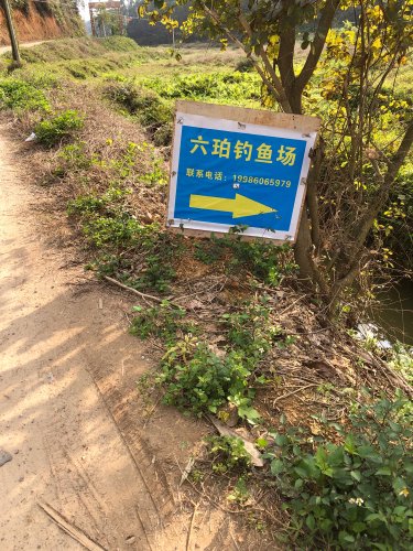 六珀钓鱼场钓场环境照片
