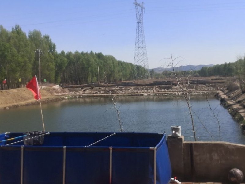 绿水塘垂钓园钓场环境照片