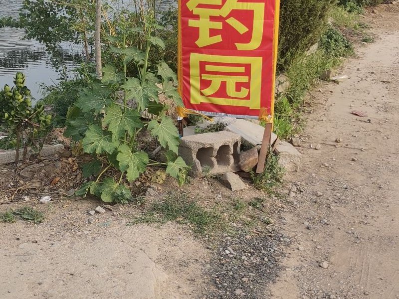 好多鱼垂钓园钓点与钓场环境照片