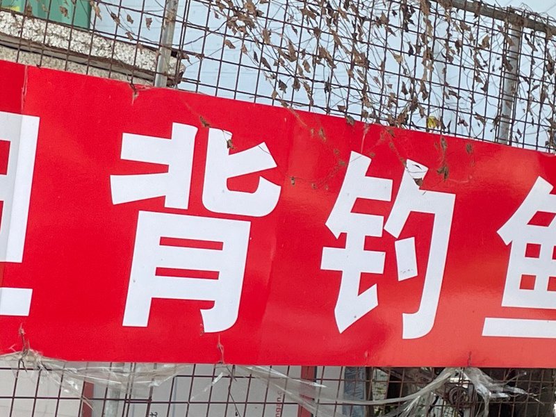 坦背钓鱼场钓点与钓场环境照片