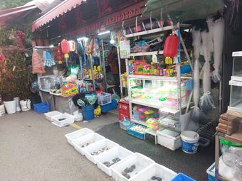 上海心灵渔具渔具店门店图片