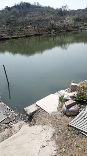 小猫钓场钓点与钓场环境照片