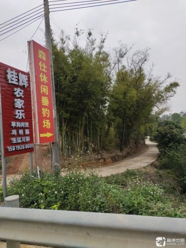 森仕休闲垂钓场钓点与钓场环境照片