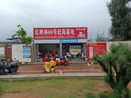 红树林66号赶海基地钓场环境照片