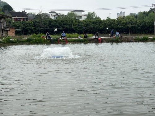 环溪垂钓园钓场环境照片