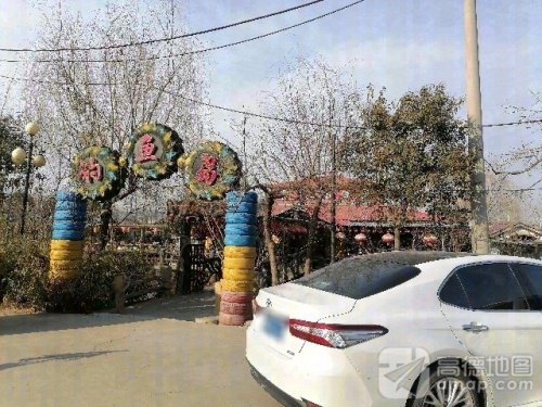 官墩钓鱼岛钓场环境照片