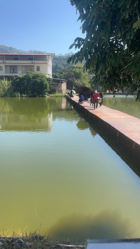 老莫休闲钓场钓点与钓场环境照片