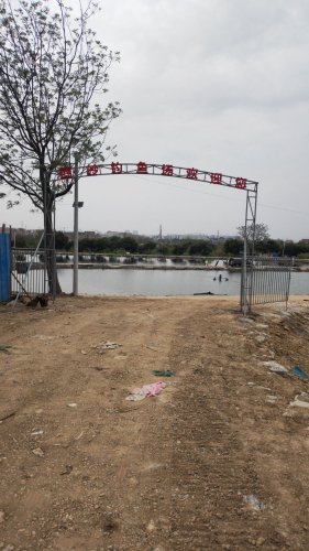 西岭钓鱼场钓点与钓场环境照片