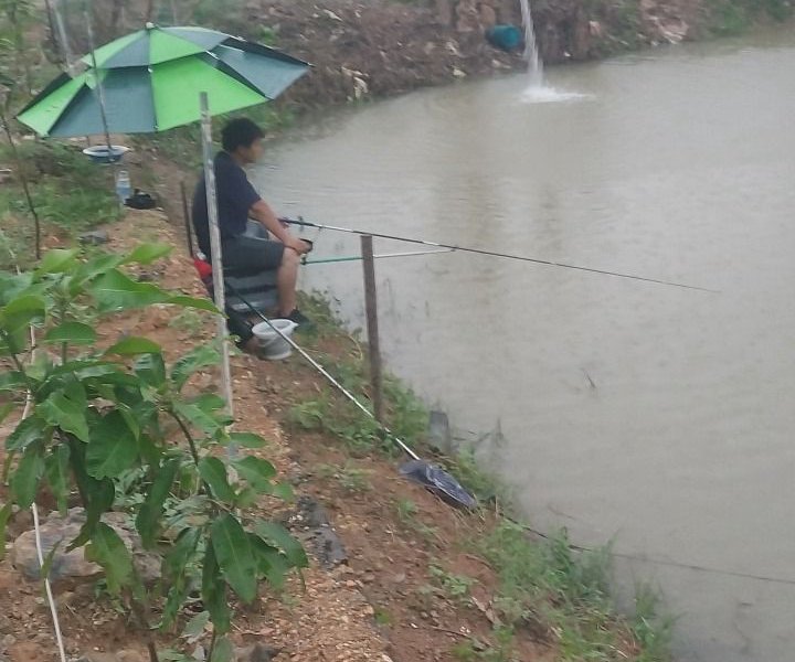 阿贵钓鱼场钓场环境照片