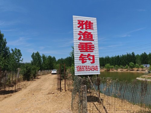 雅渔垂钓园钓点与钓场环境照片