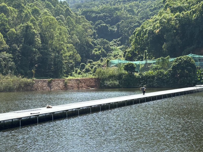 广州云顶钓场钓点与钓场环境照片