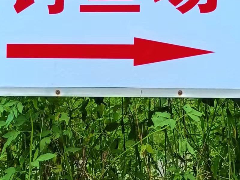 牧歌田园钓鱼场钓点与钓场环境照片