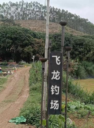 飞龙钓场钓场环境照片