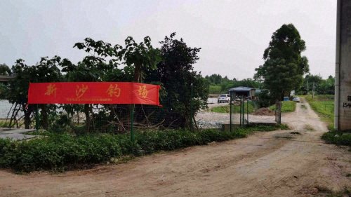 新沙钓鱼场钓点与钓场环境照片