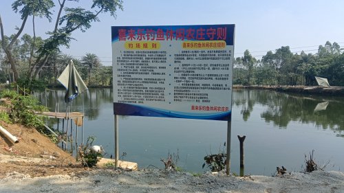 喜来乐钓鱼休闲山庄钓场环境照片
