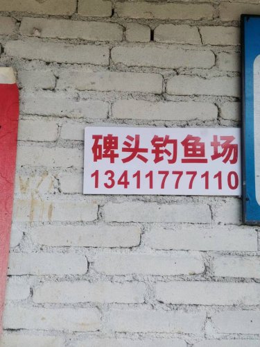 碑头钓鱼场钓点与钓场环境照片