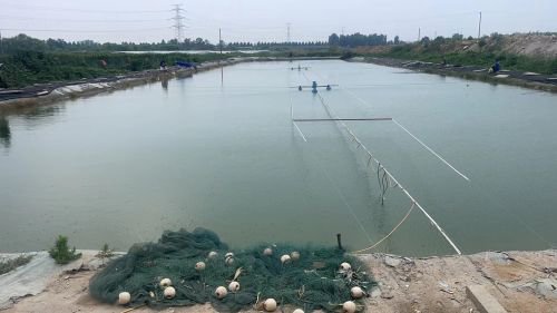 寿光纪台开心垂钓园钓点与钓场环境照片