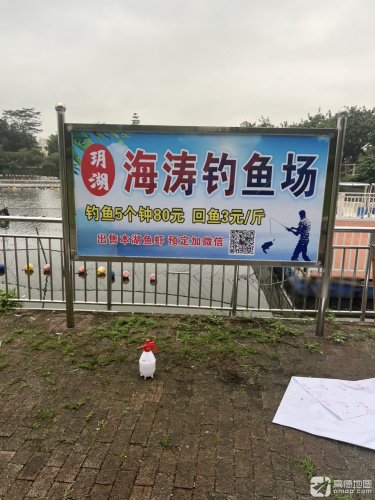 玥湖海涛钓鱼场钓点与钓场环境照片