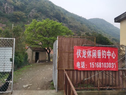 伏龙休闲垂钓中心钓点与钓场环境照片