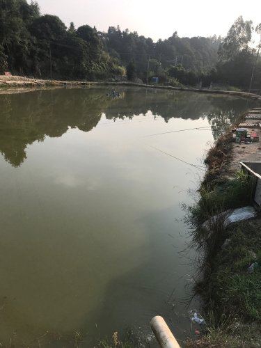 北峰美田钓鱼台钓场环境照片