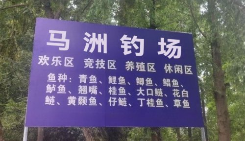 马洲钓场钓场环境照片