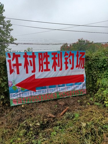 许村胜利钓场钓点与钓场环境照片