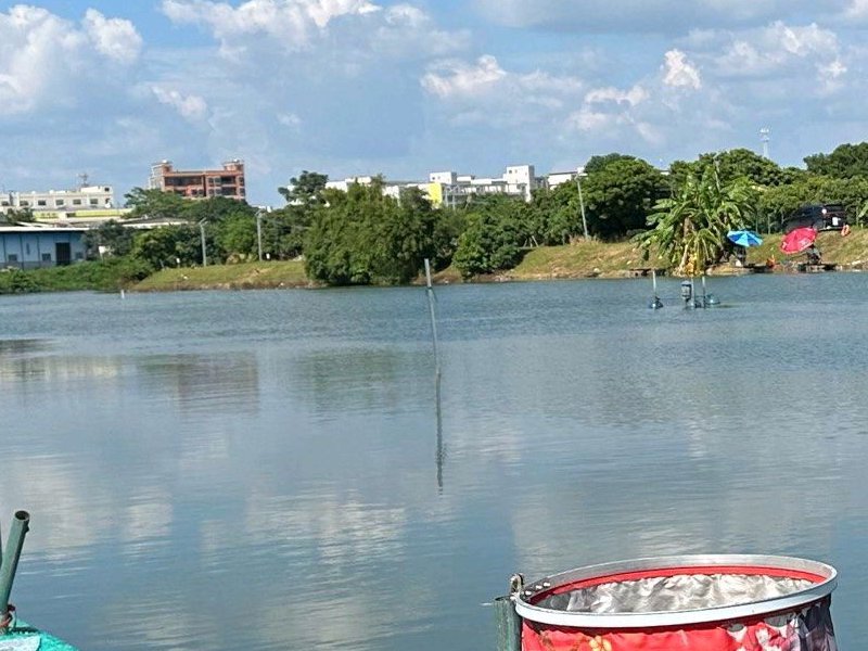 湖尔美团圆钓鱼场钓点与钓场环境照片