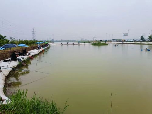欣雅垂钓园钓点与钓场环境照片