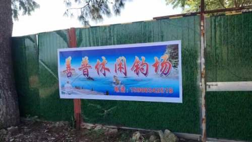 善普休闲钓场钓点与钓场环境照片