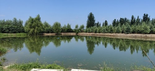 侯家钓场钓点与钓场环境照片