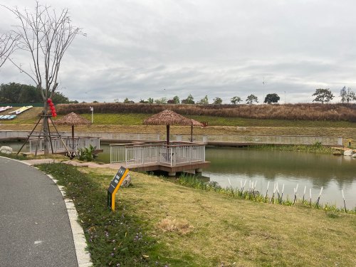 龙江岁月花田垂钓钓场环境照片