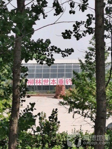 柳林世本垂钓中心钓点与钓场环境照片