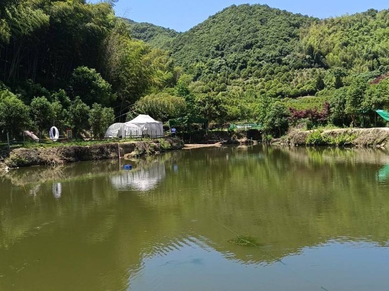 沐辰垂钓园钓点与钓场环境照片