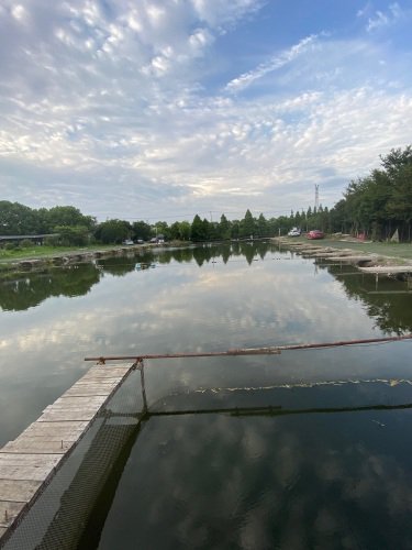 常熟市古里镇小许休闲垂钓经营部钓场环境照片