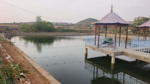 前龙家庄垂钓园钓点与钓场环境照片