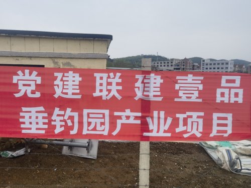 壹品垂钓园钓场环境照片