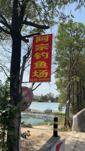 阿宗钓鱼场钓场环境照片